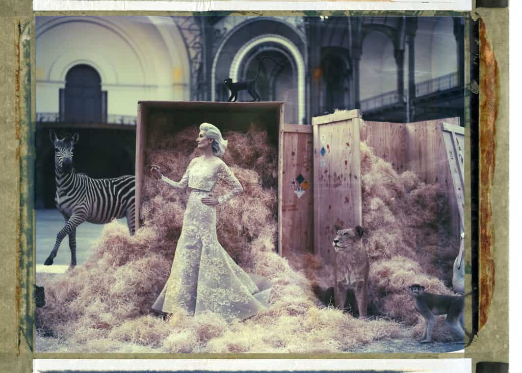Fine art color photography of a fashion model wearing haute couture by Elie Saab with stuffed zebra, lion and two monkeys, at the Grand Palais, Paris.